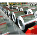 Pre-Painted & Galvanized Steel Coil